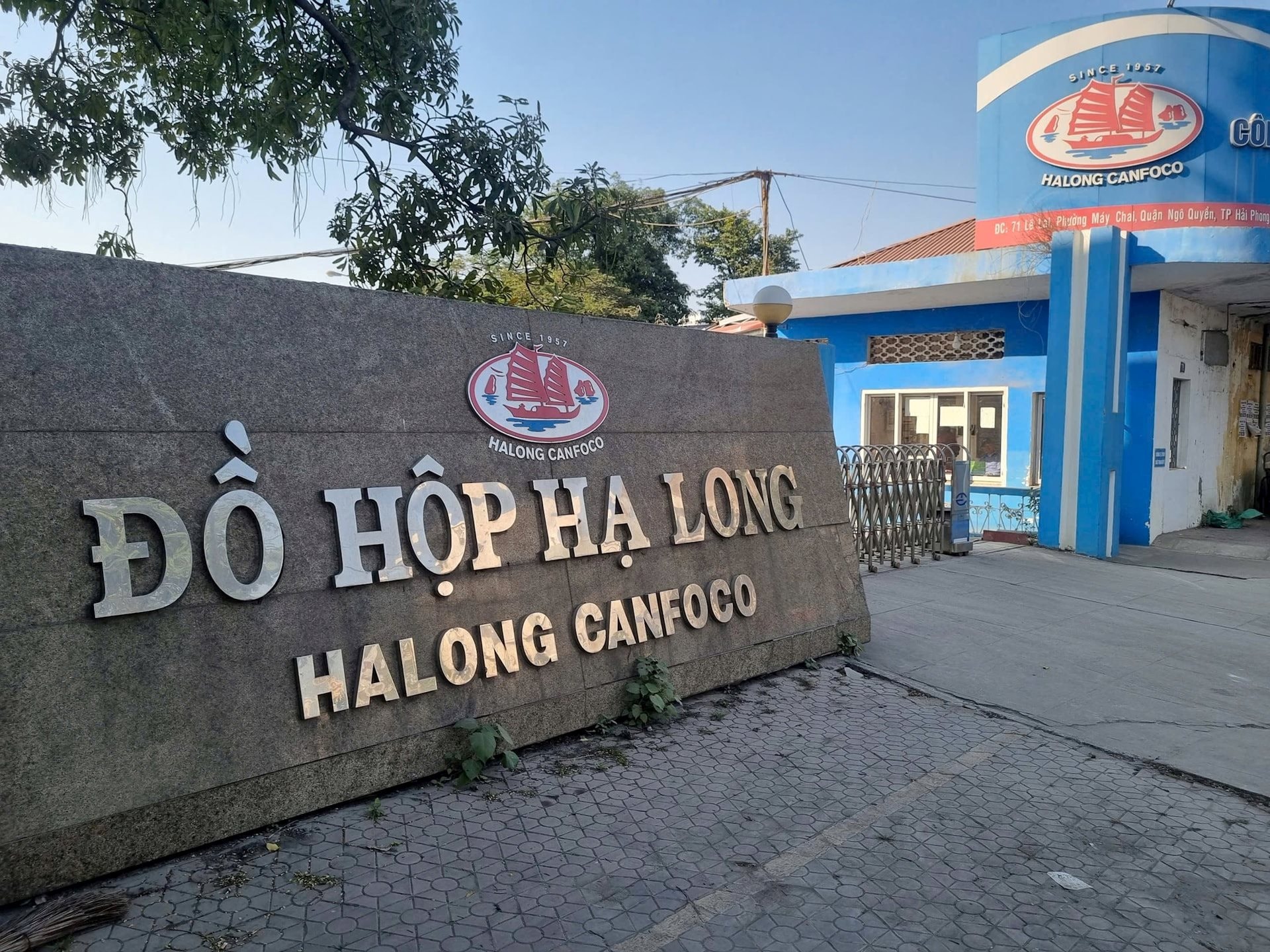 do-hop-ha-long.jpg