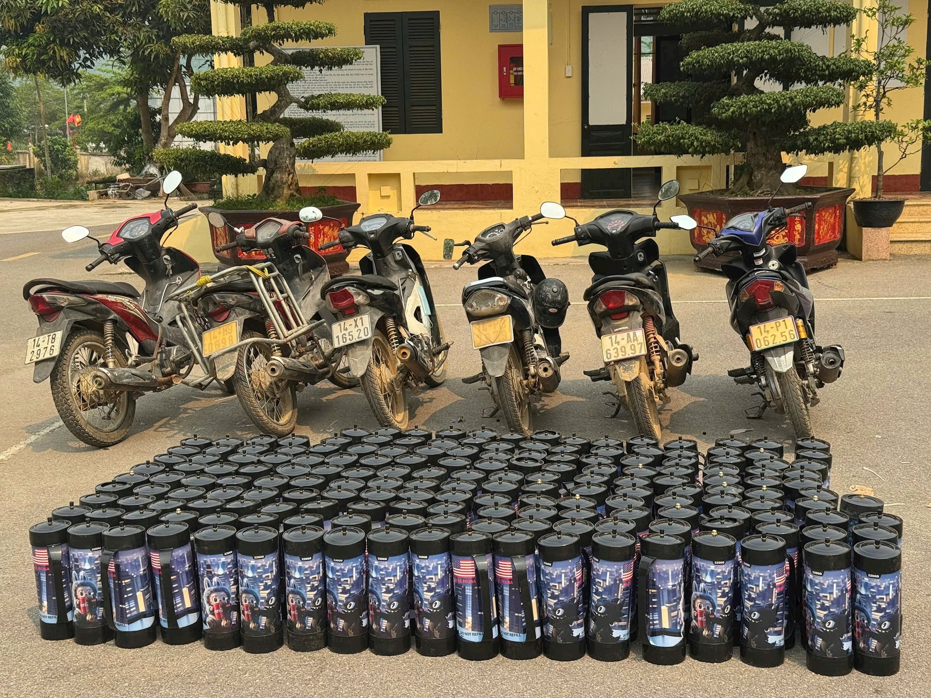 hoanh-mo-5.jpg