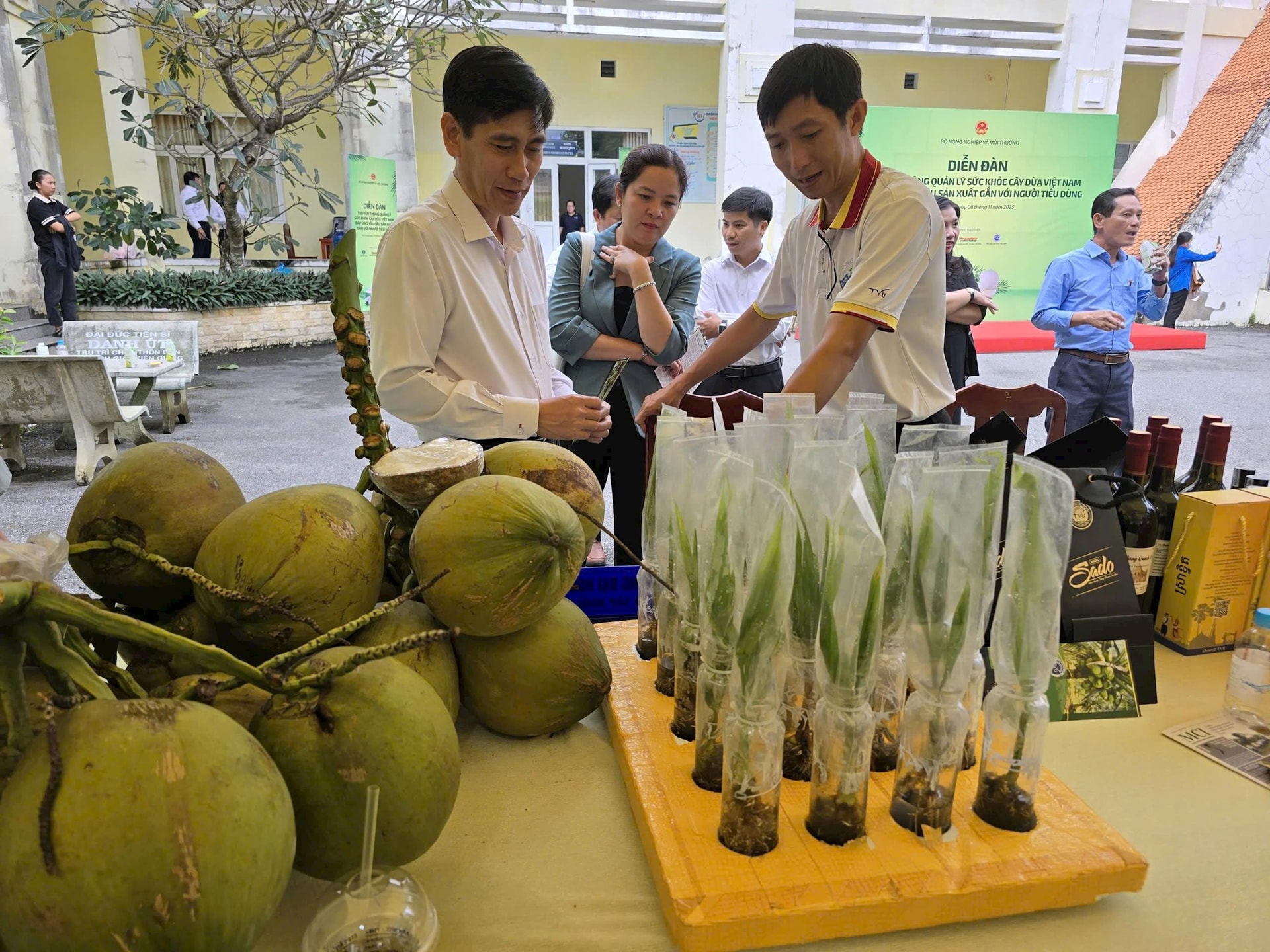 Dòng vốn Agribank “đồng hành” cùng cây dừa Tây Nam Bộ