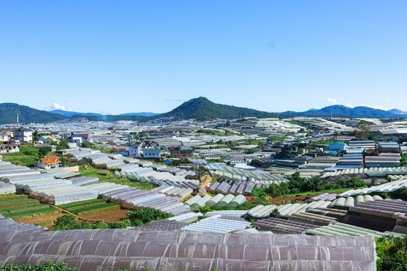 dia-diem-du-lich-lam-dong-2.jpg