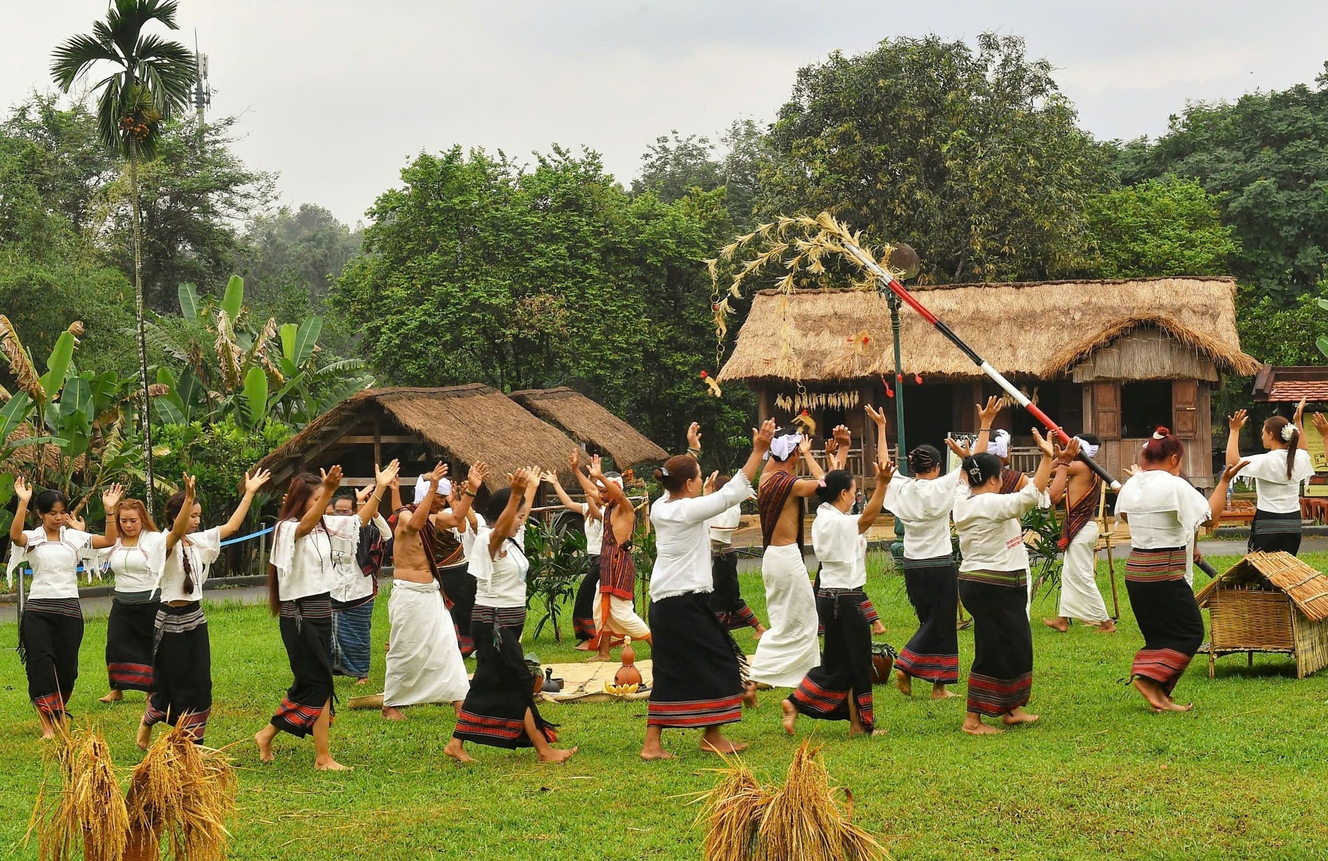 anh-bai-hat-lua-thieng-nay-mam-tren-dat-la-2(1).jpg