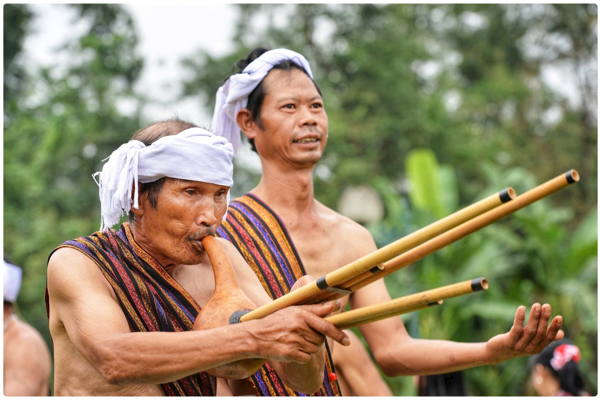 anh-bai-hat-lua-thieng-nay-mam-tren-dat-la-4.jpg
