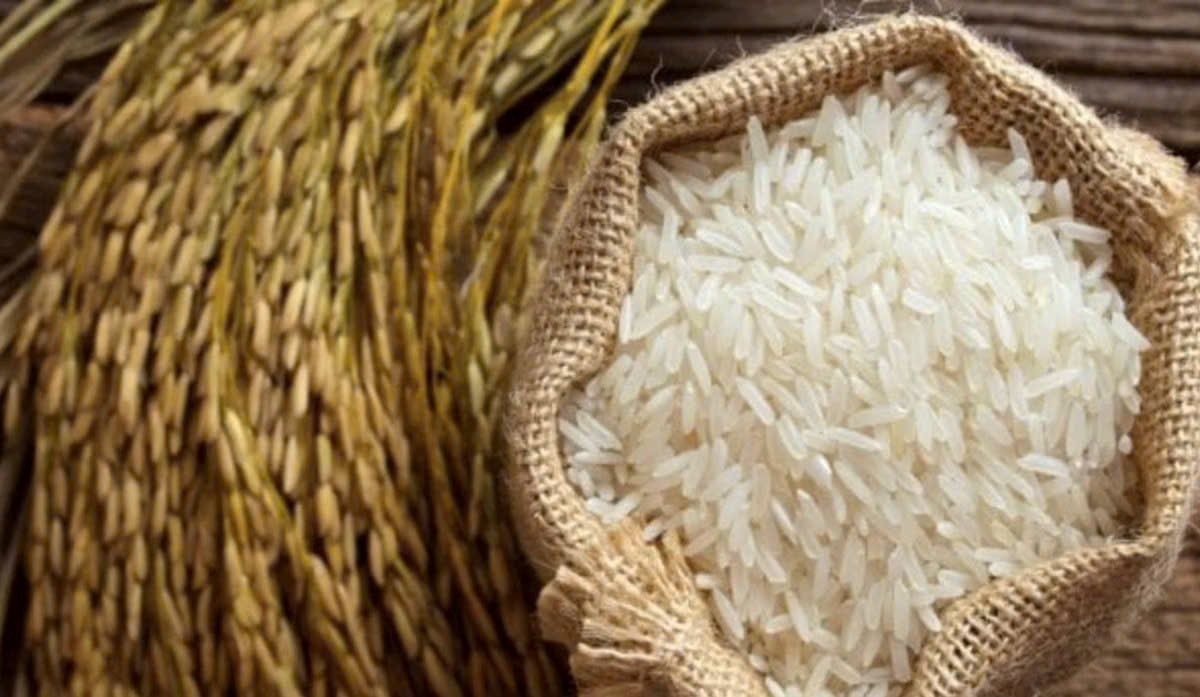 Thi gạo ngon vùng Đồng bằng sông Cửu Long lần đầu tổ chức tại Cà Mau