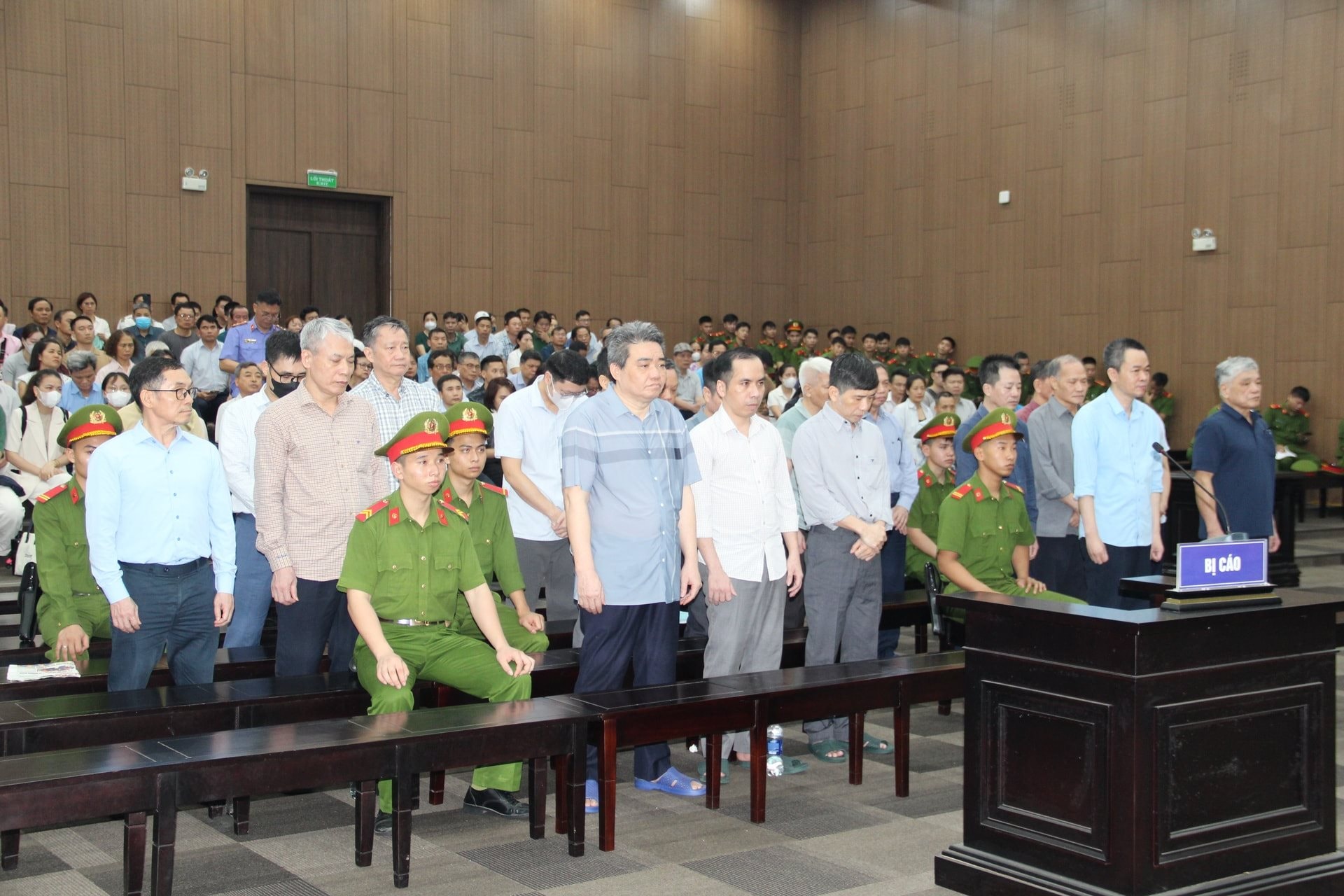 cong-tyhoang-dan.jpeg