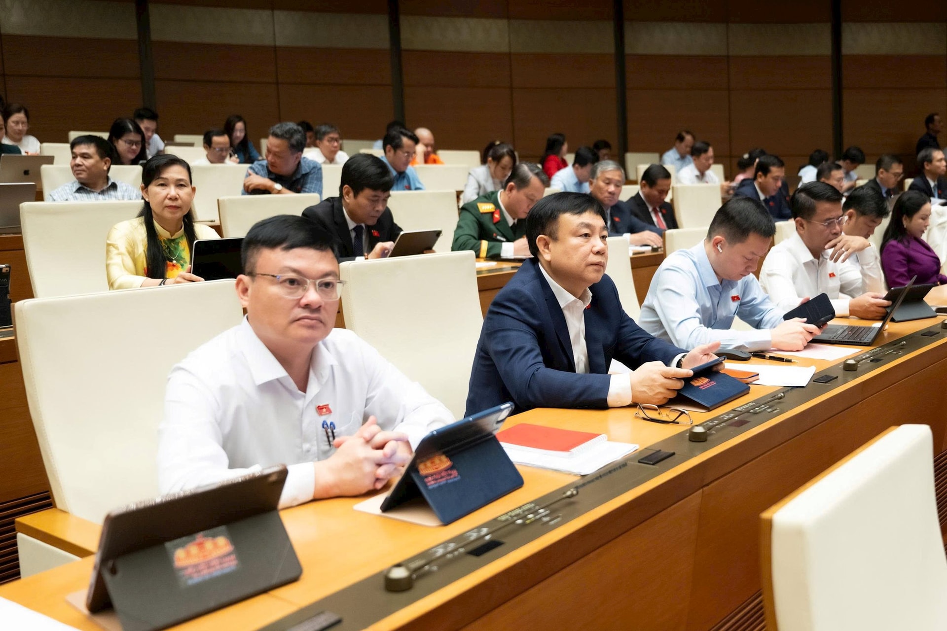 dai-bieu-du1.jpg