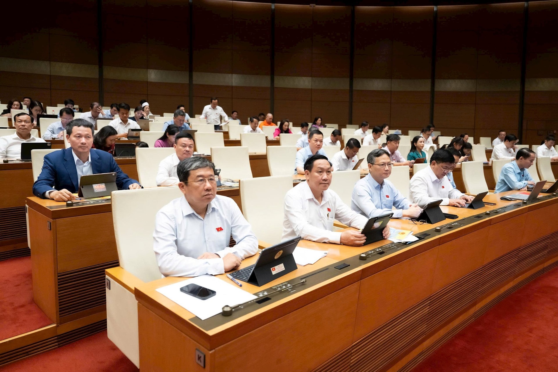 dai-bieu-du1.jpg