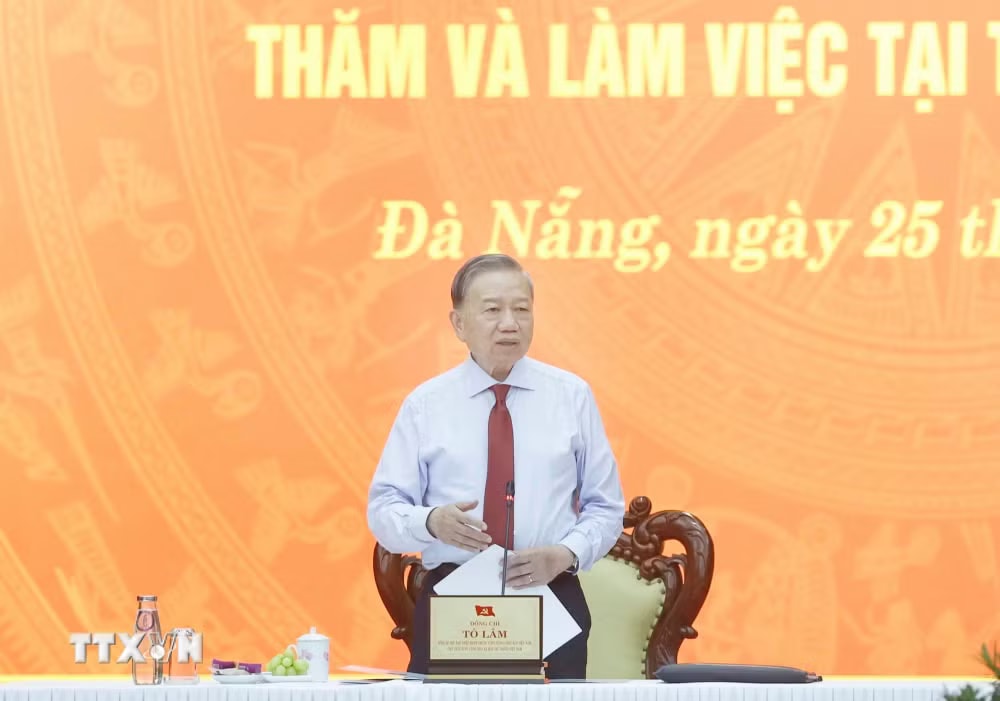 ttxvn-tong-bi-thu-chu-tich-nuoc-to-lam-lam-viec-voi-ban-thuong-vu-thanh-uy-da-nang-2.jpg