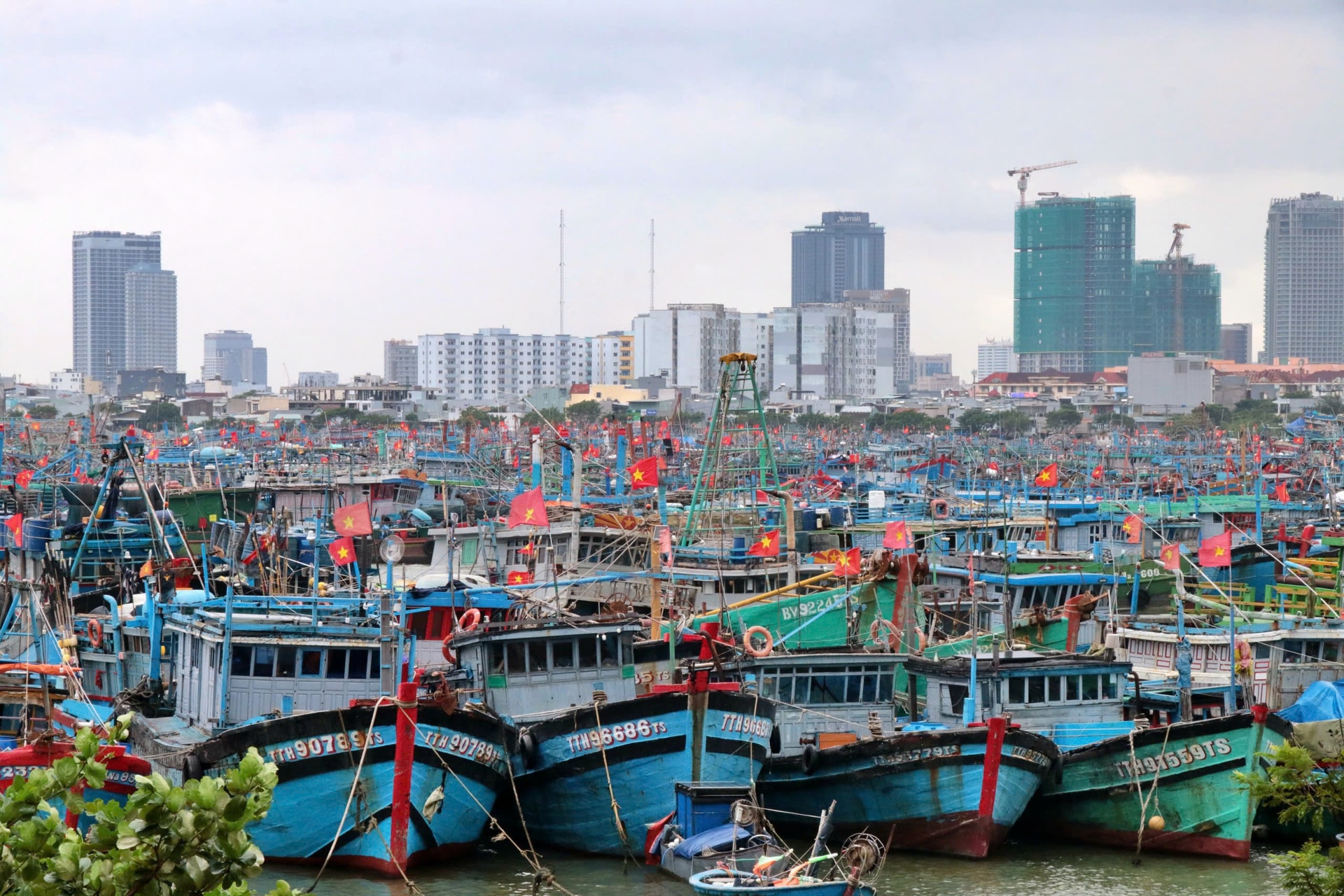 26-4-iuu11.jpg