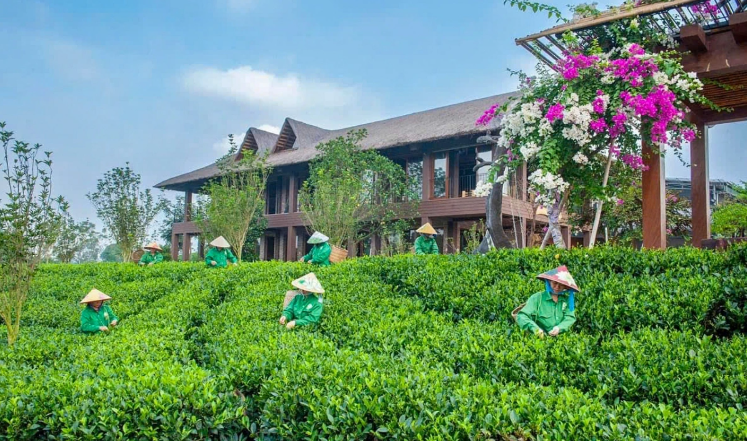 “Hồ trên núi - Trà trong mây”: Hành trình trải nghiệm từ hồ xanh đến đồi chè
