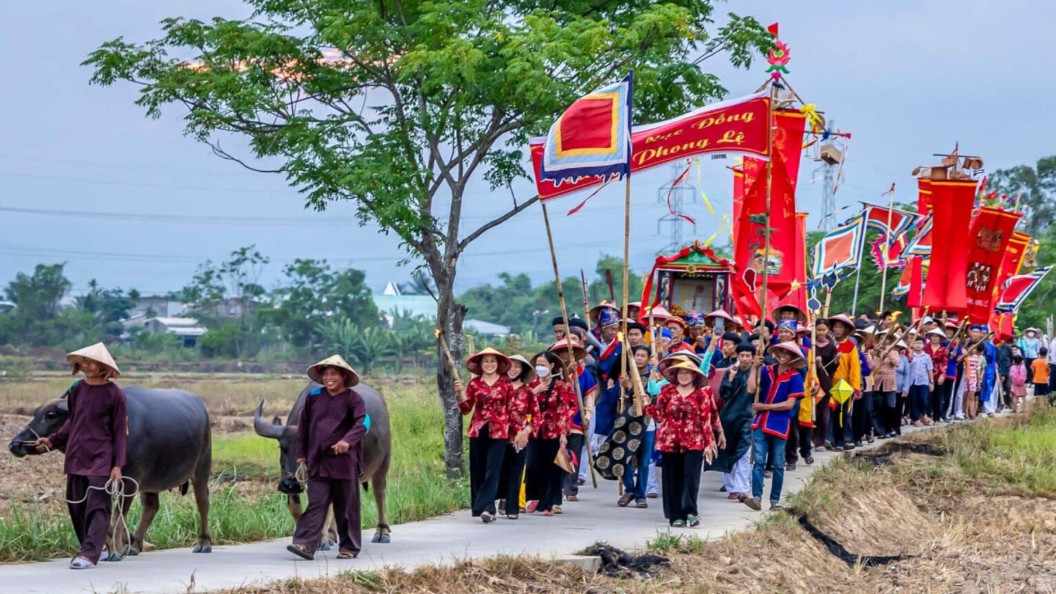 2-le-hoi-muc-dong-phong-le-anh-kim-lien(1).jpg