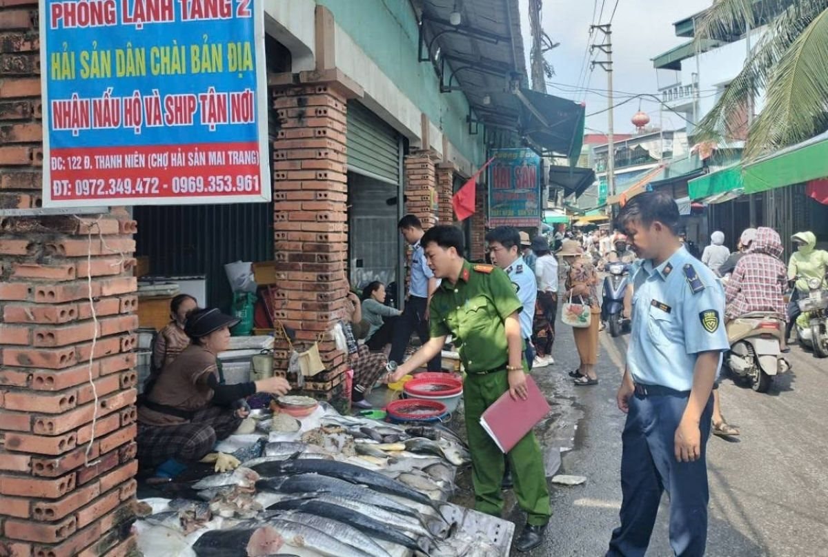 haisan.jpg