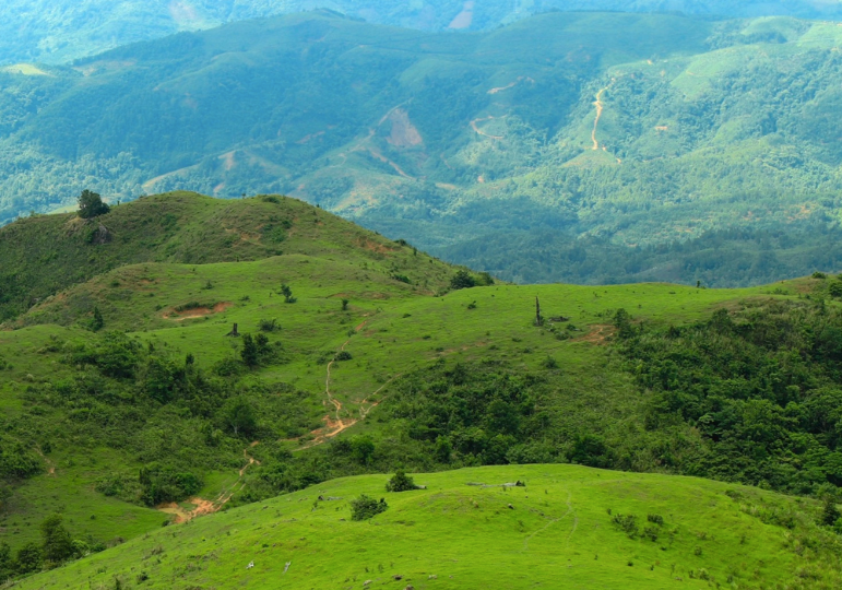 Giữ rừng, giữ nguồn sống cho dân