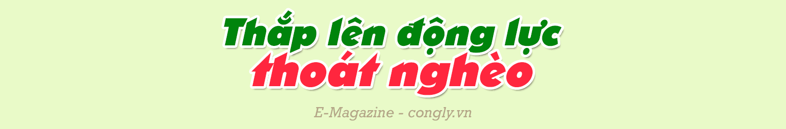 bai3-tit2.png
