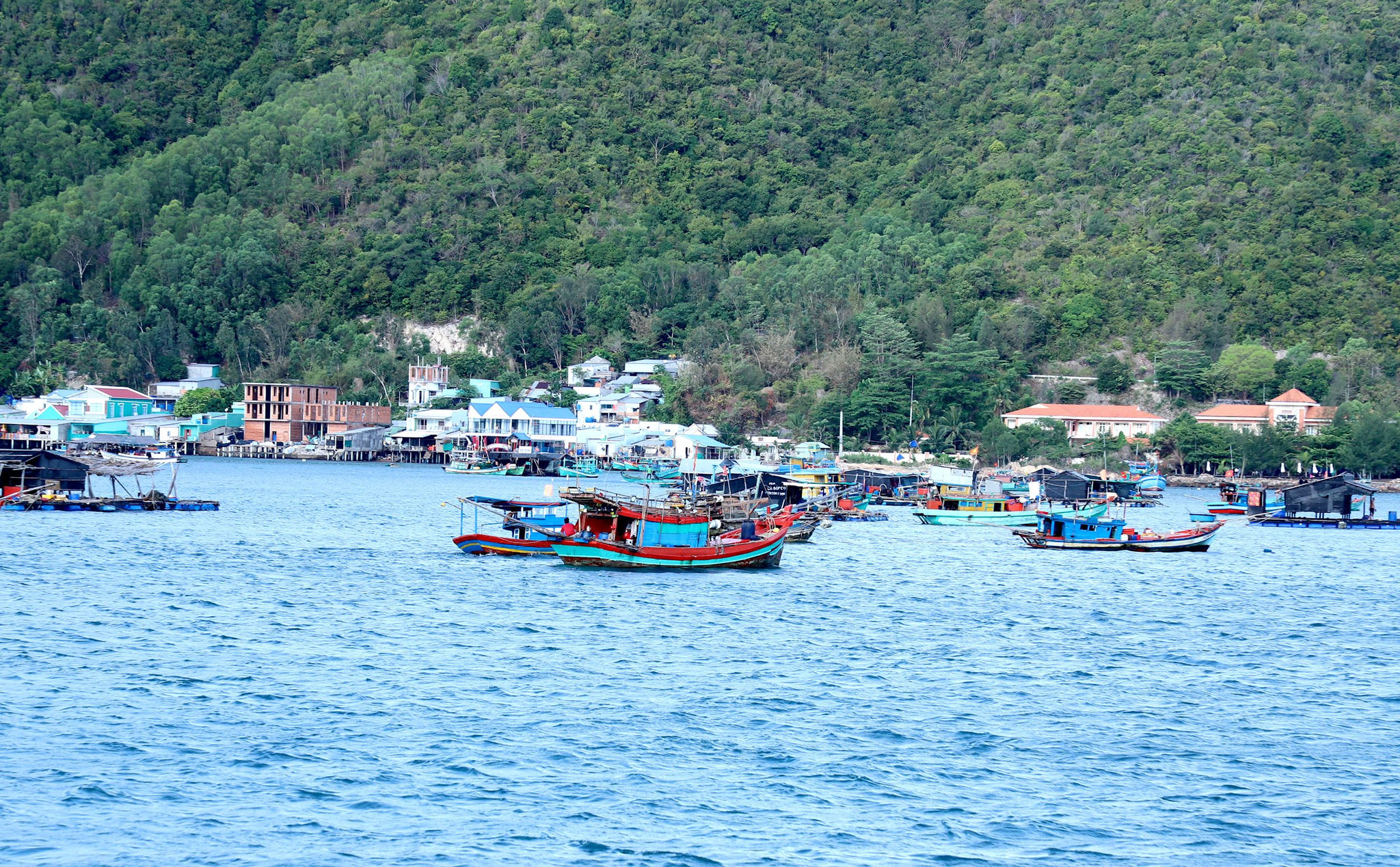 dao-nam-du-2-.jpg