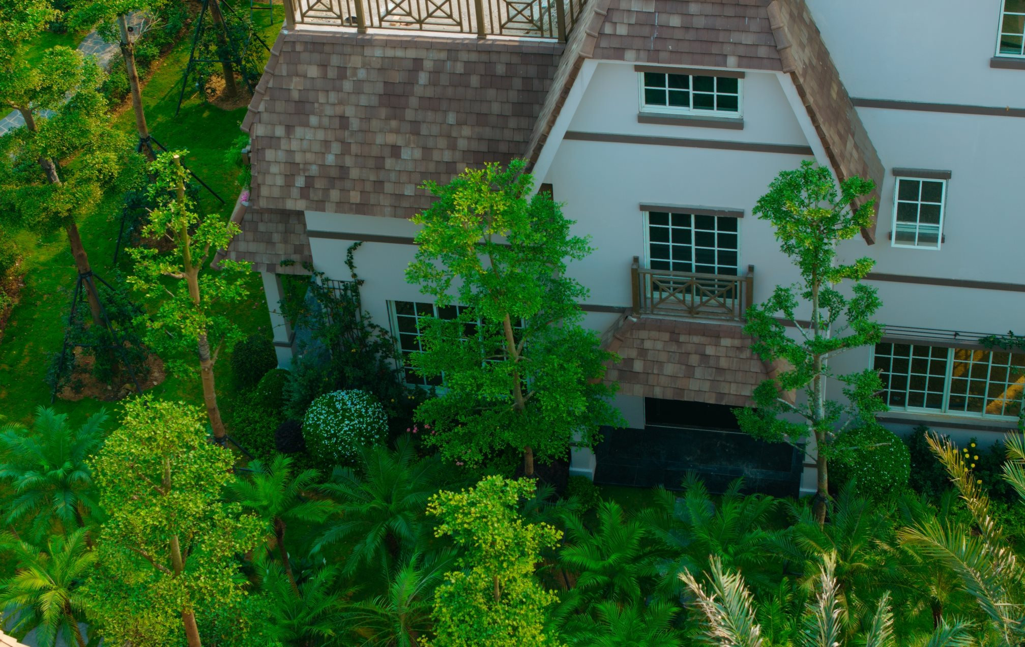 dji_20260406083153_0277_d.jpg