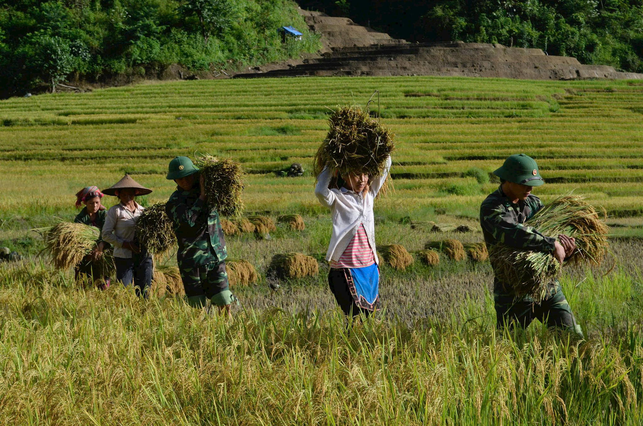 lai-chau-5.jpg
