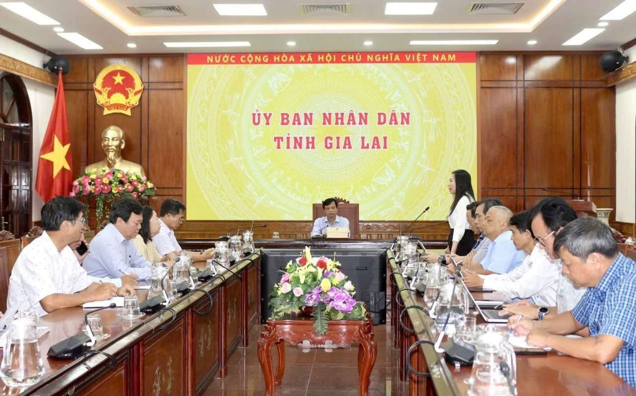 Gia Lai khẩn trương điều tra vụ nghi ngờ ngộ độc bánh mì