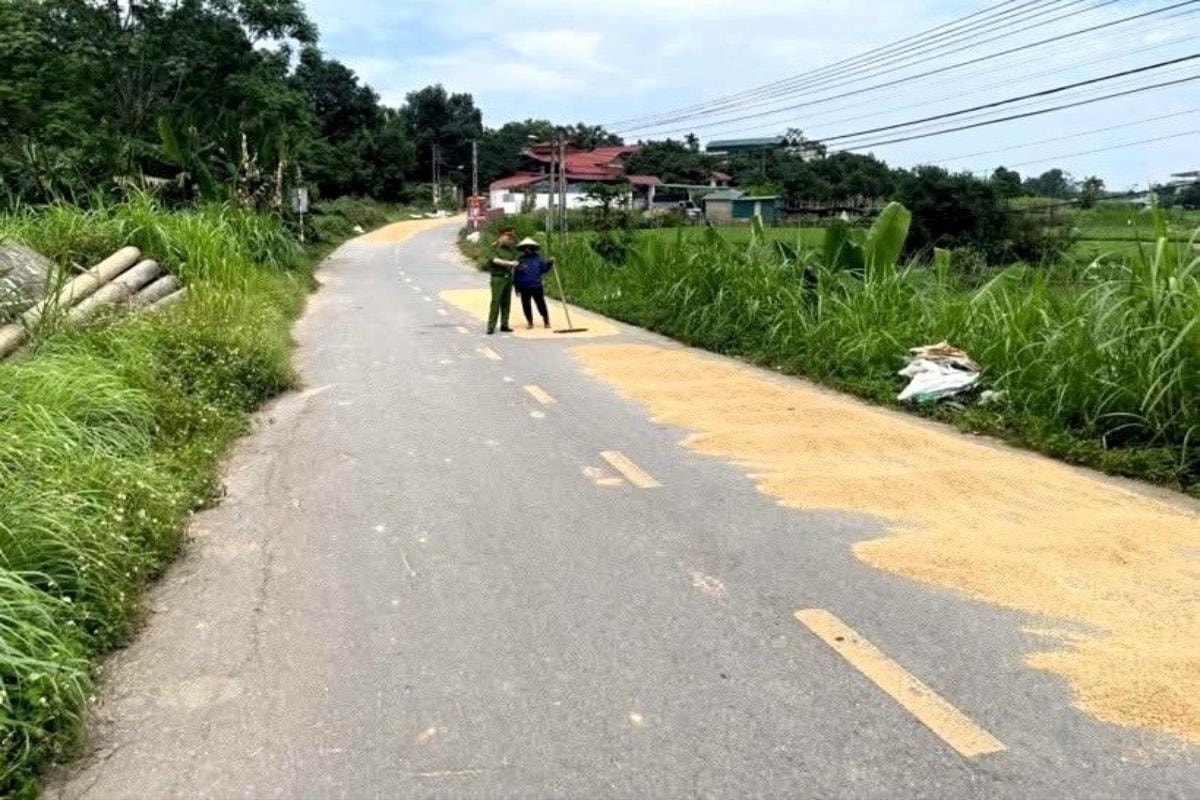 Xử lý nghiêm hành vi đốt rơm rạ và phơi nông sản trái quy định