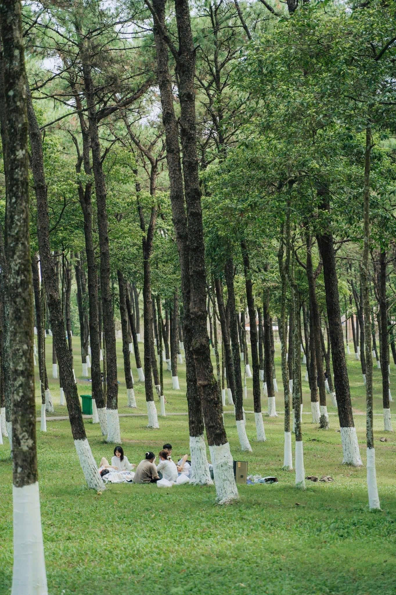 vuon_quoc_gia_ba_vi.jpg