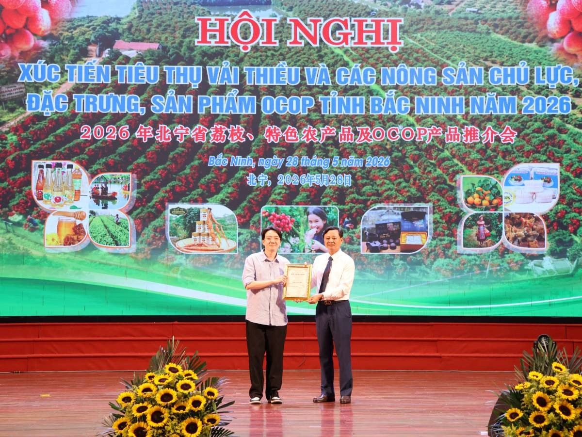 anh-11-bac-ninh(1).jpg