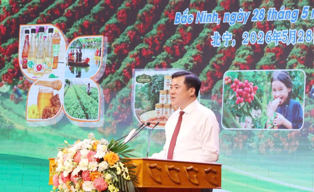 anh-3-bac-ninh(1).jpg