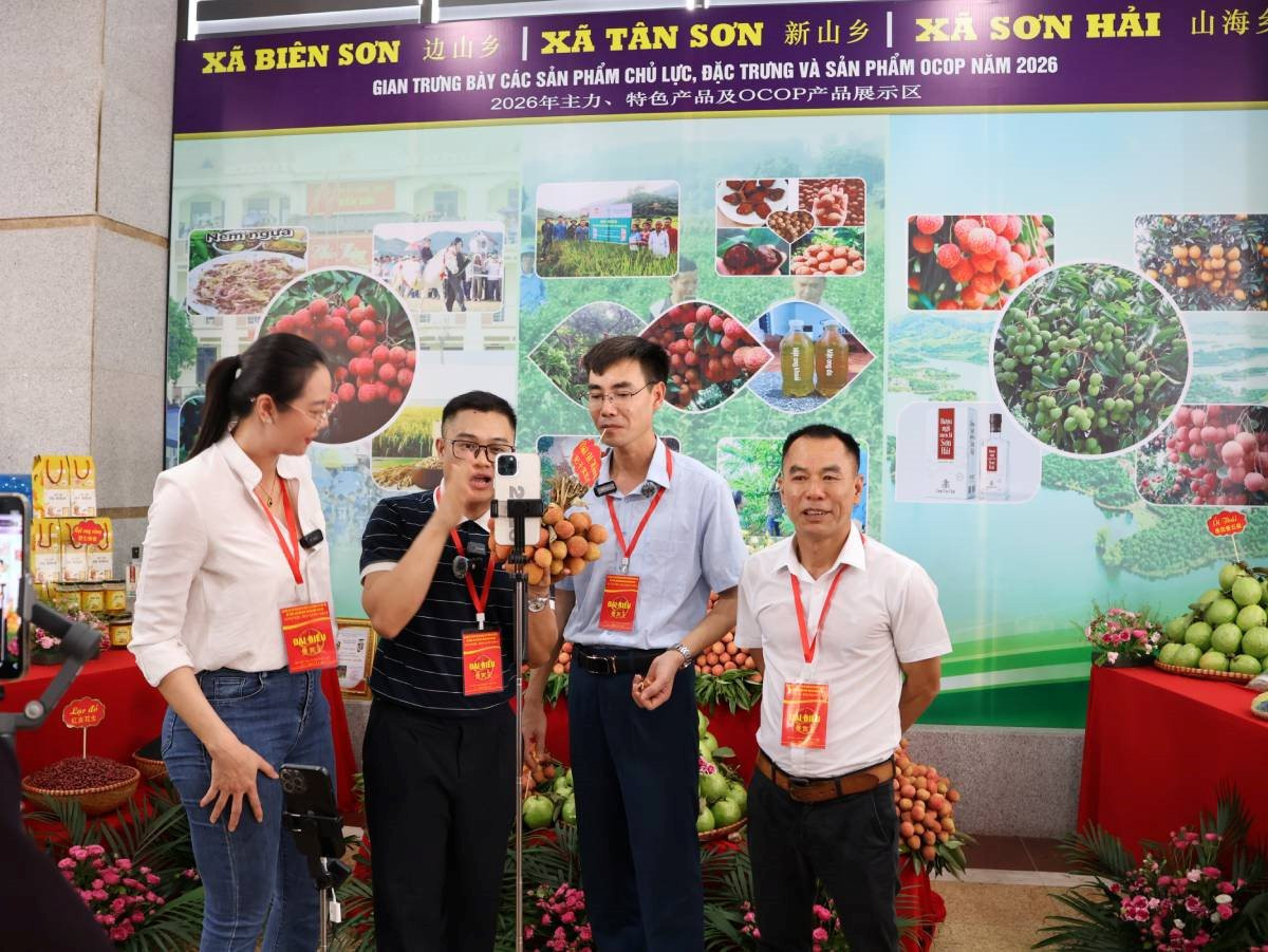 anh-7-bac-ninh(1).jpg