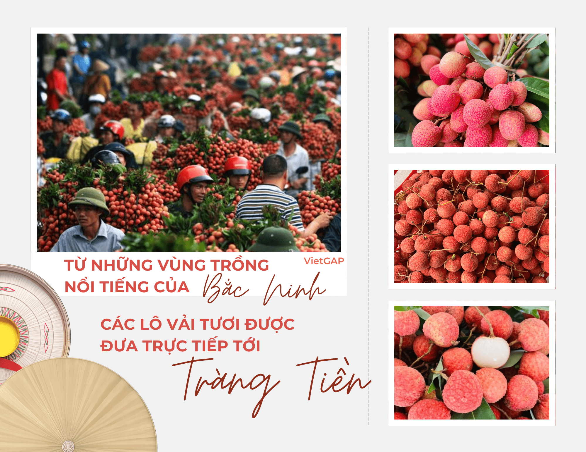 anh-4-cho-phien-kinh-bac.png