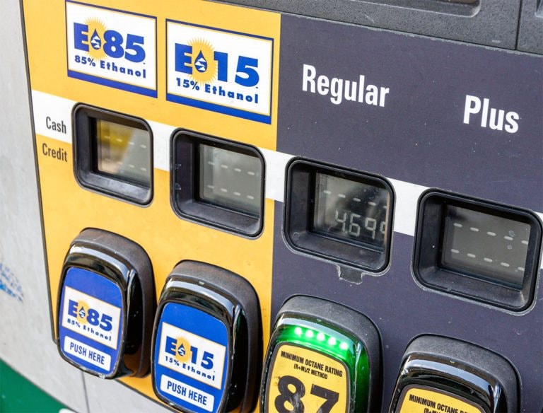 e15.jpeg