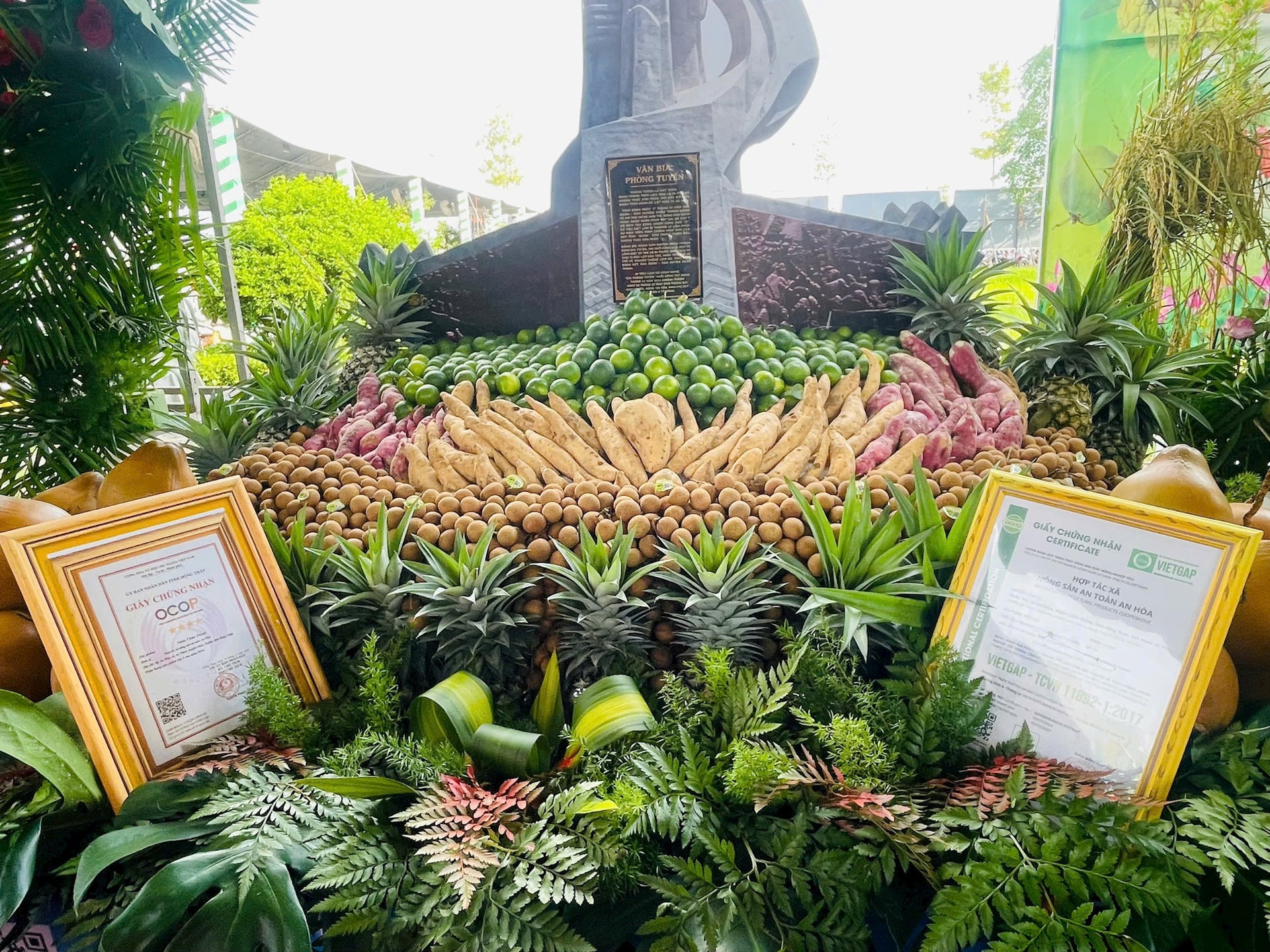 z7905213546729_e3d7590057b88cd53b5869181dc69ea8.jpg
