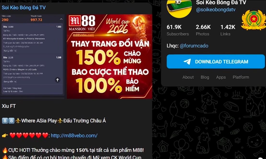 canhbao.jpg
