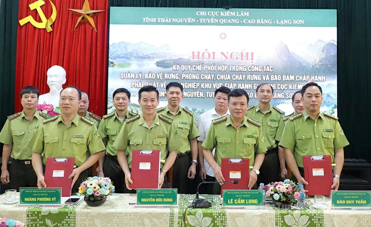 4-tinh-ky-ket-quy-che-phoi-hop-quan-ly-1_20260613102040-1-.jpg