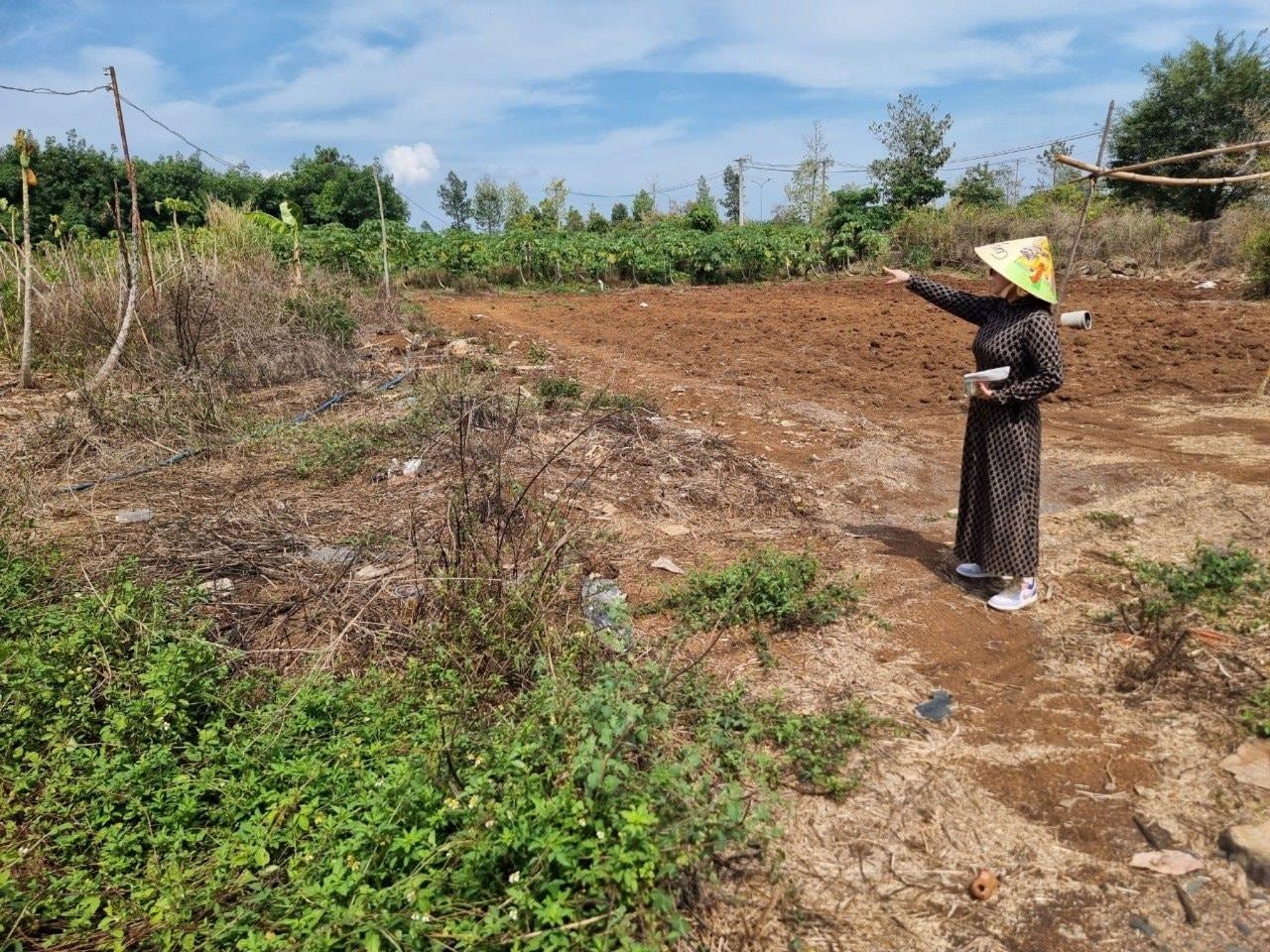 thua-dat-tranh-chap-keo-dai(2).jpg
