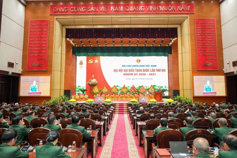 hoi-truong-1.jpg