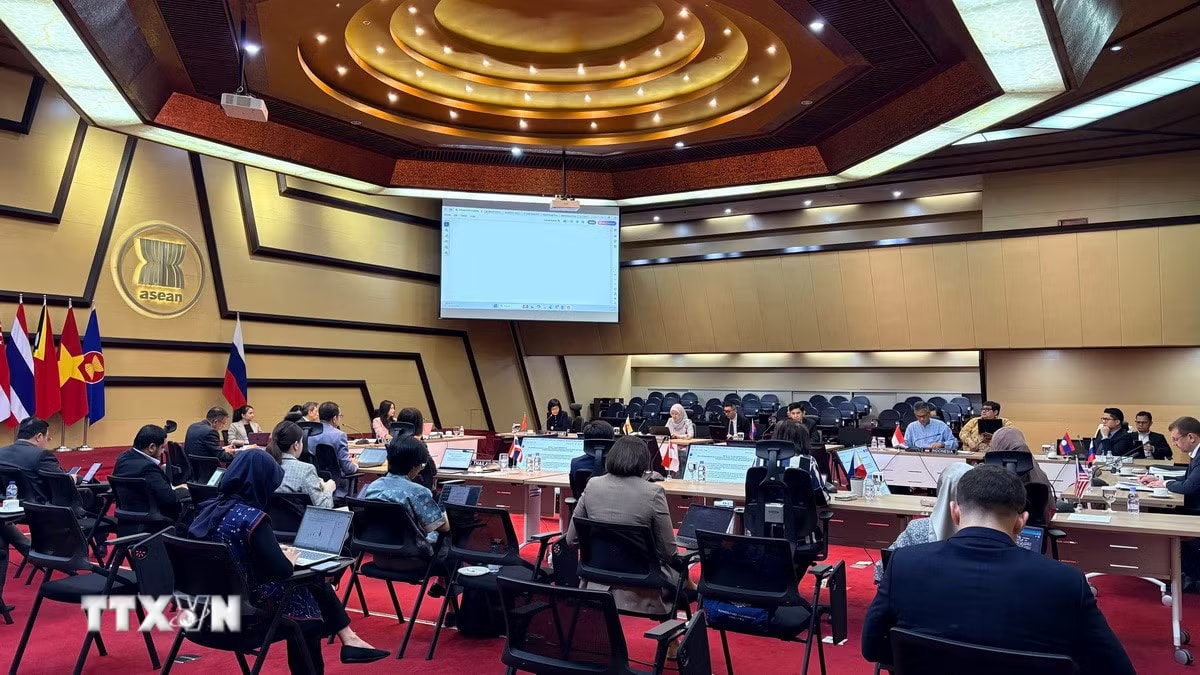 ttxvn-nga-asean.jpg