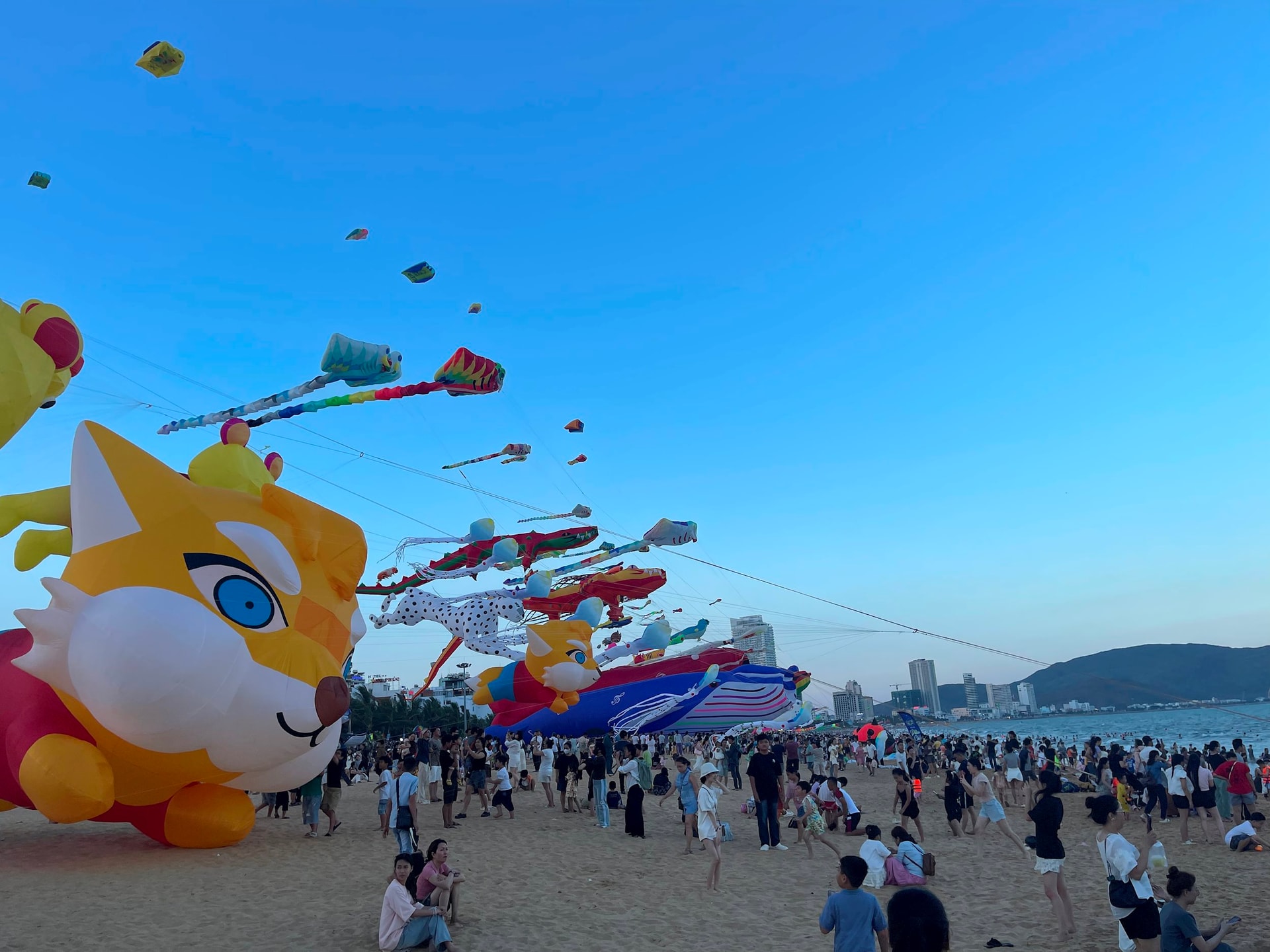 ba304df7-b882-4abd-9eff-ced129aea36f.jpeg