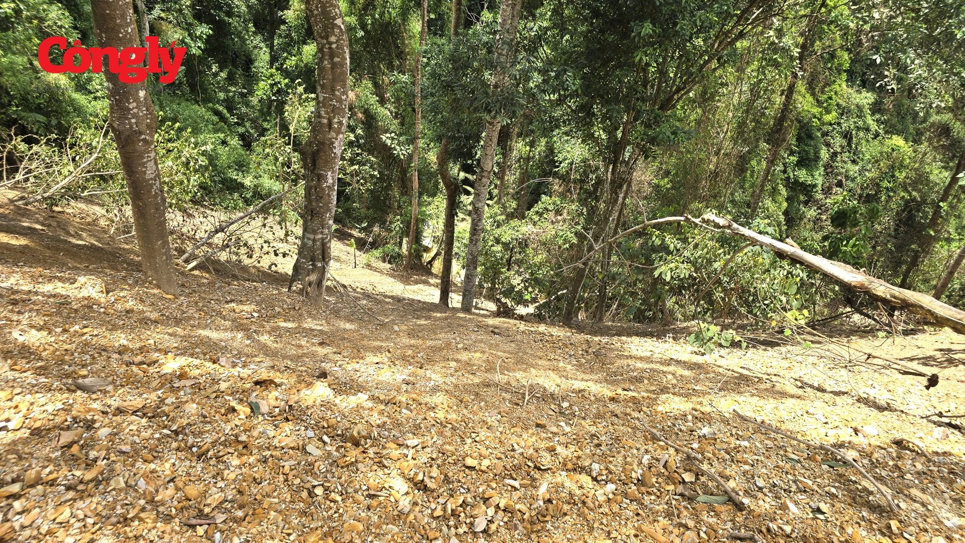 bai-thai-10.jpg