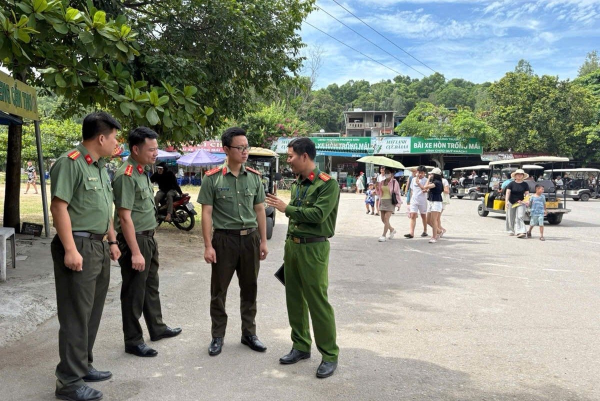 hontrongmai.jpg