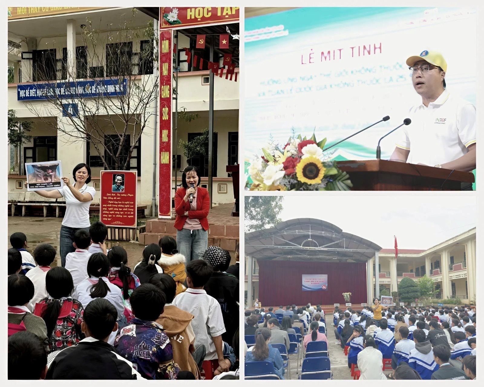 phong-chong-tac-hai-thuoc-la.jpg