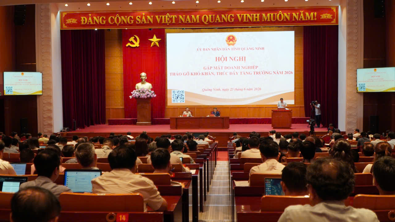 Hội nghị