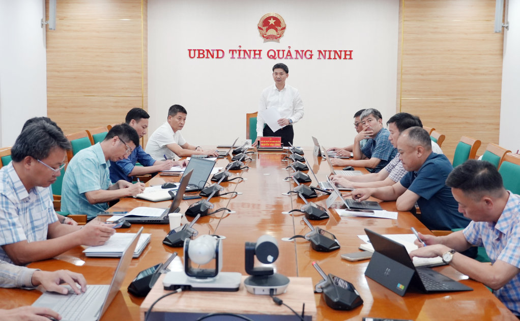 phó chủ tịch 