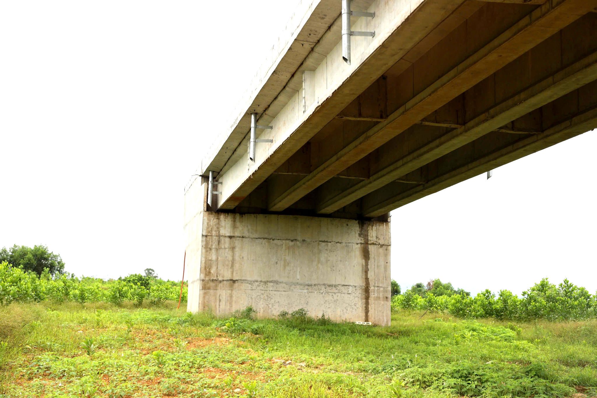 z7974757456977_105dd552fb48a388951e4ab0d6fe70a2.jpg