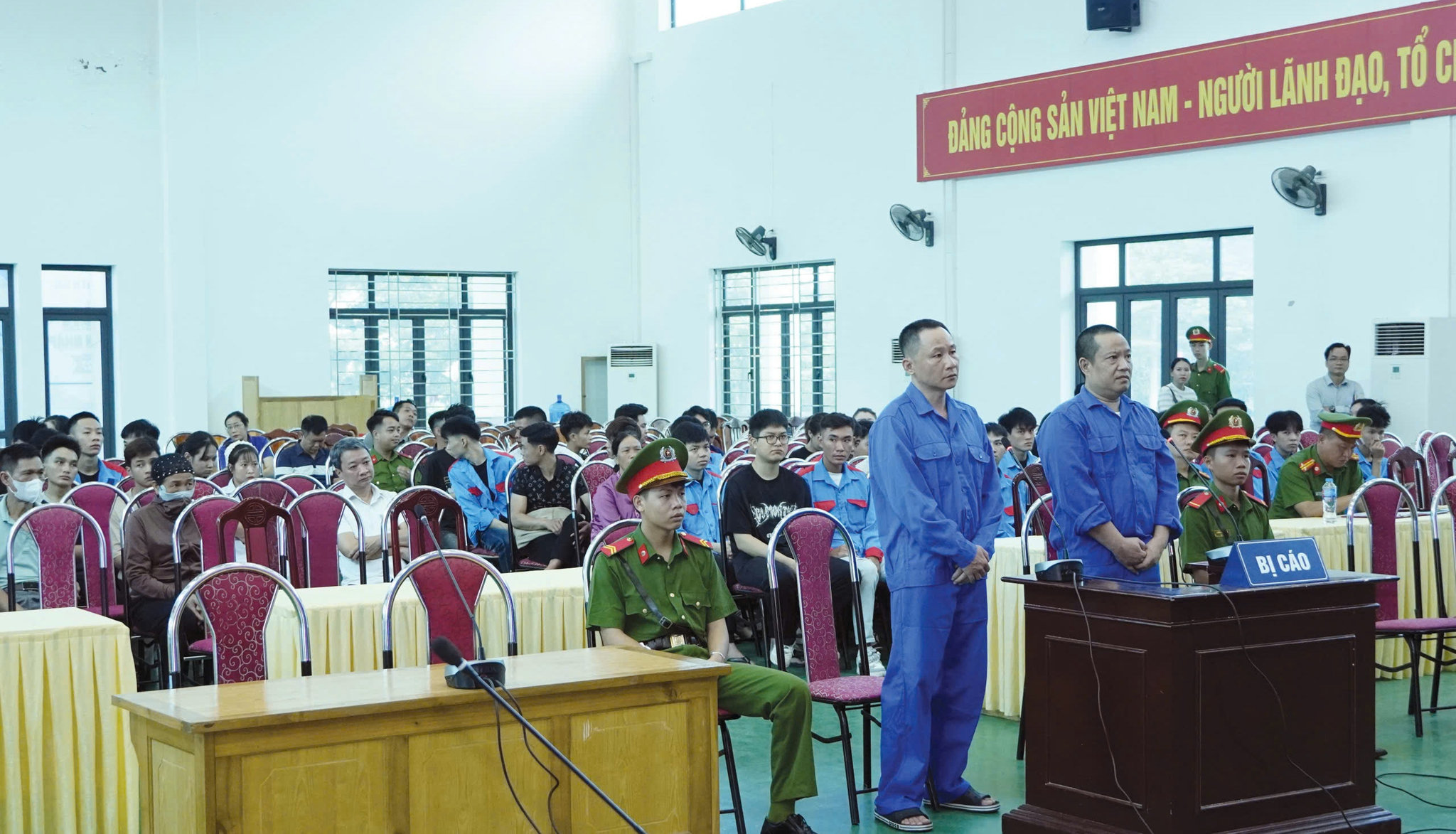 bi cao truoc vanh mong ngu