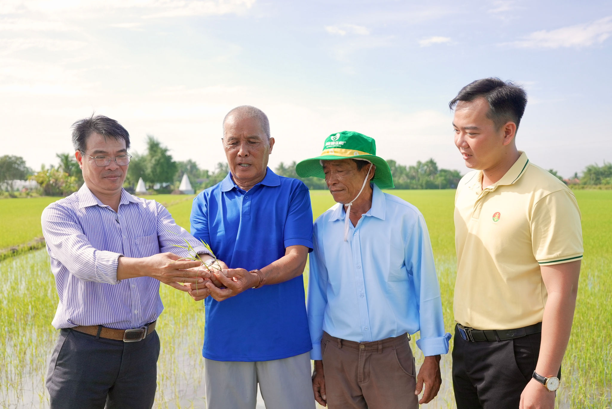 Những bí kíp vàng từ PVCFC giúp bà con canh tác bền vững, thịnh vượng.