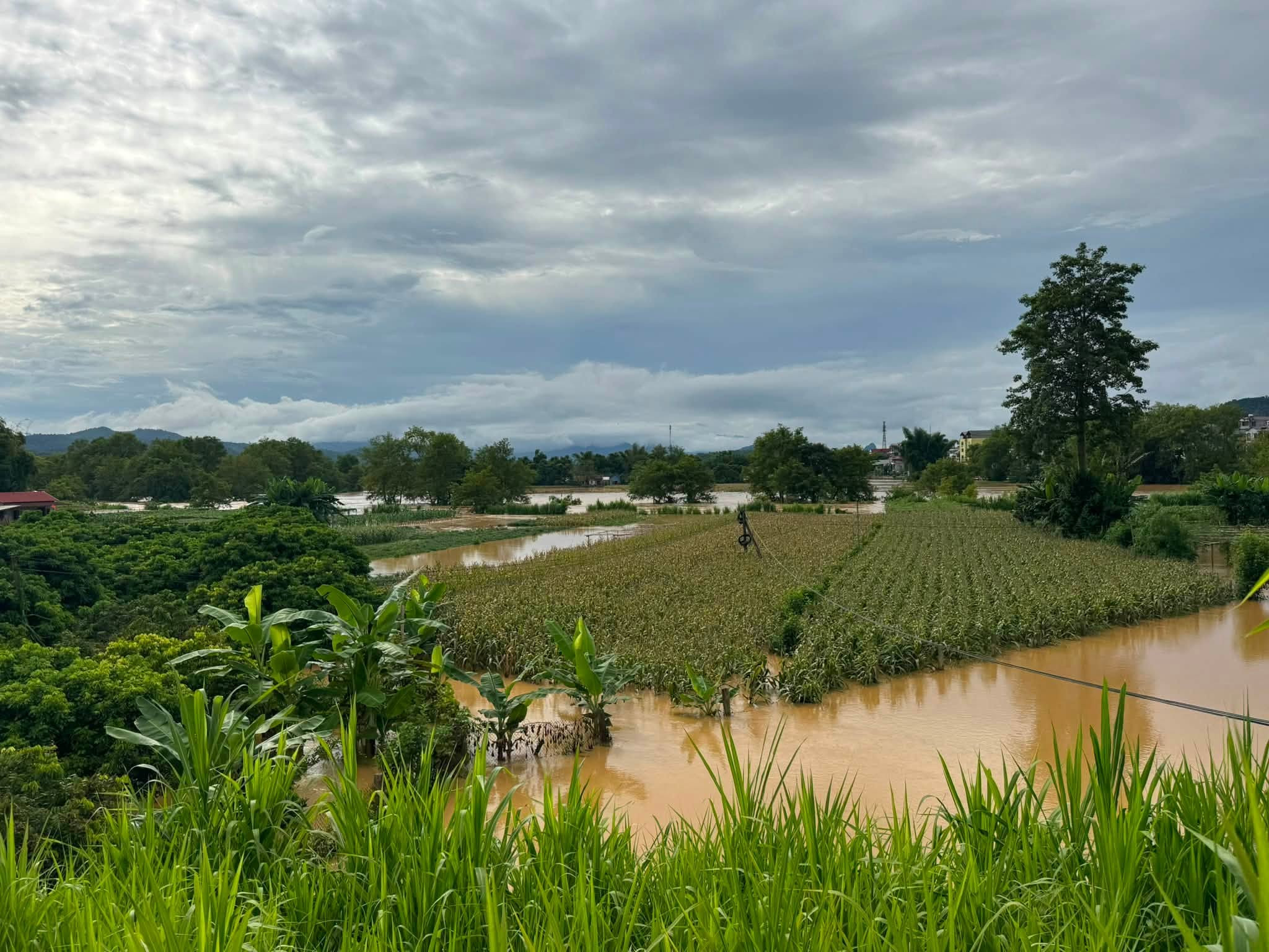 ngập lụt cao bằng (4)