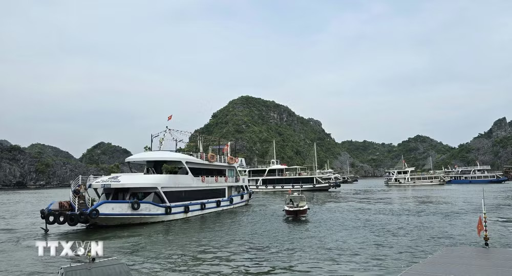 ttxvn-vinh-lan-ha-0304.jpg