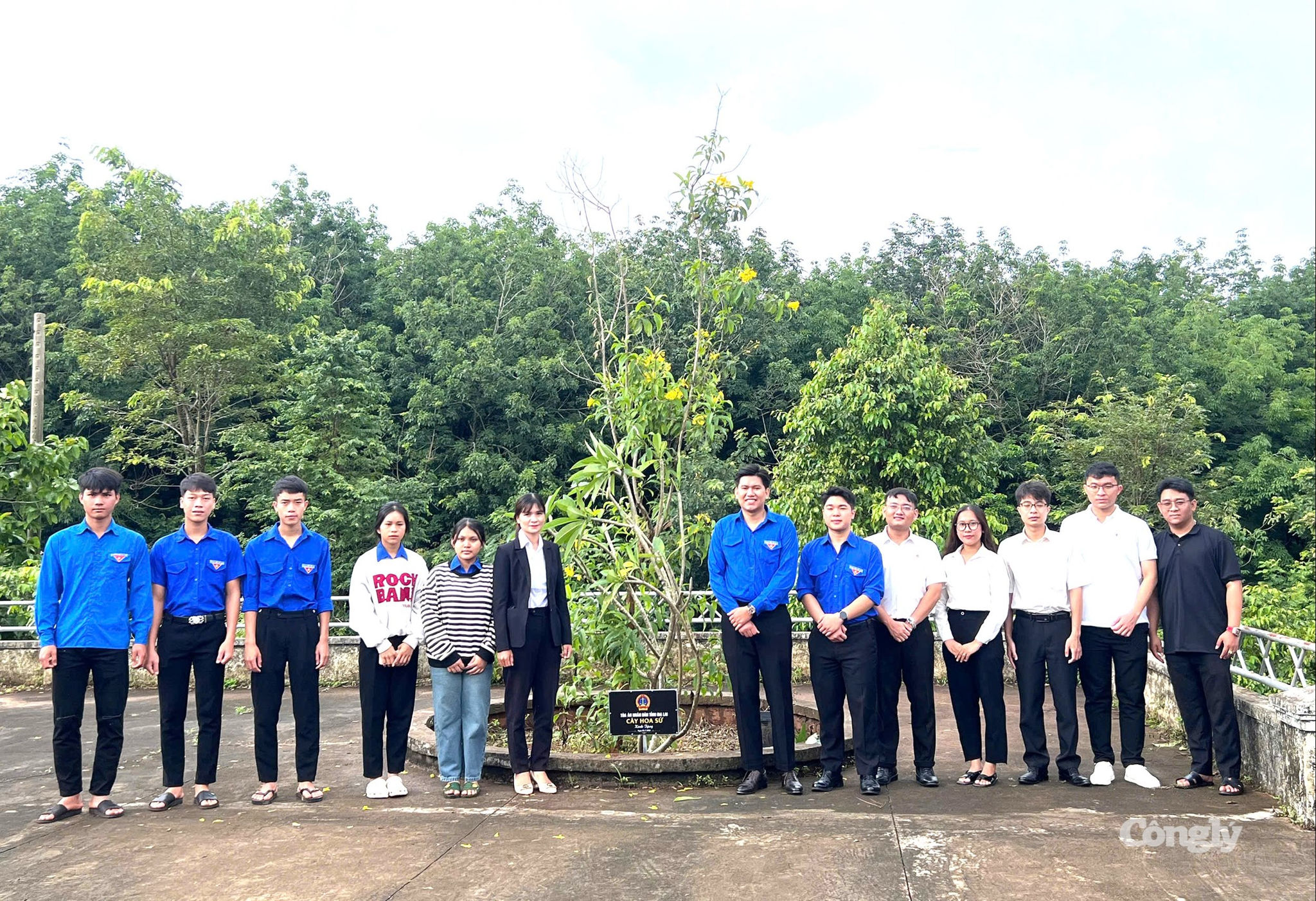Phien tòa giả định 1
