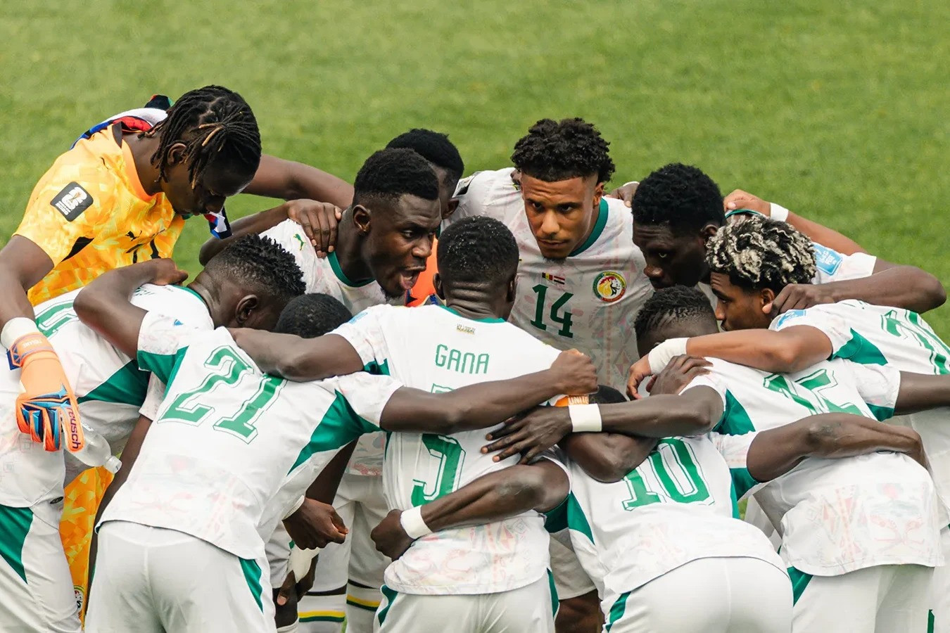 Senegal (2)