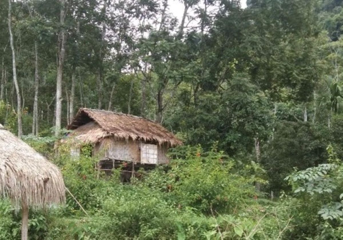 bandoi.jpg