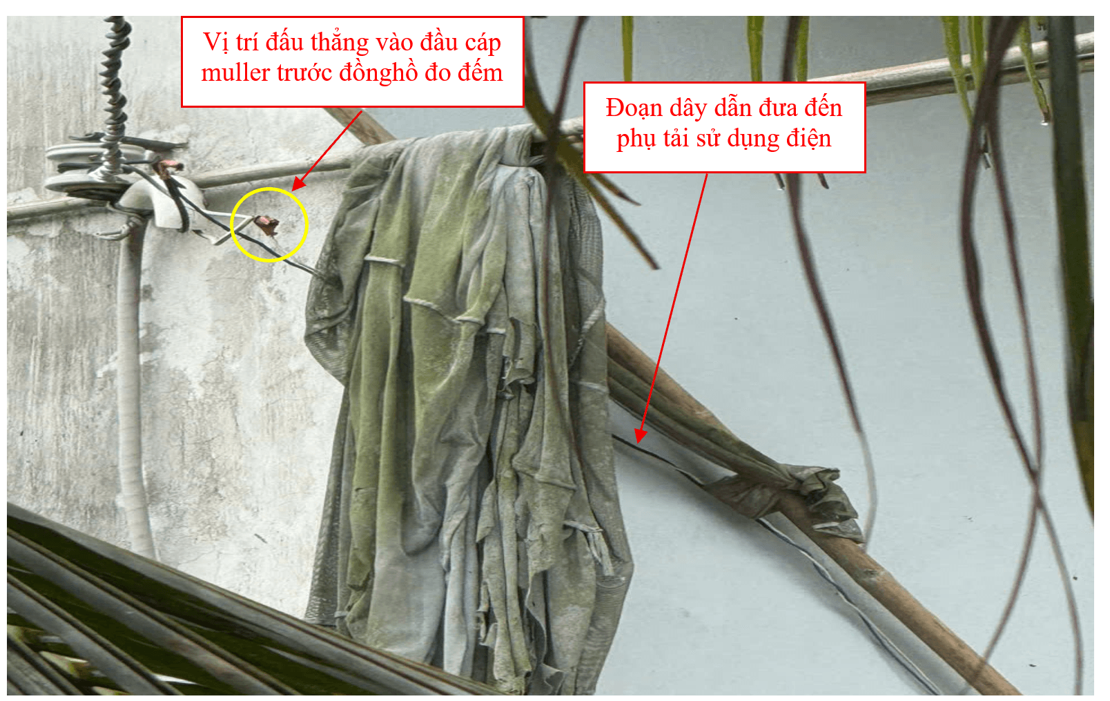 Cong ton gan trong nha