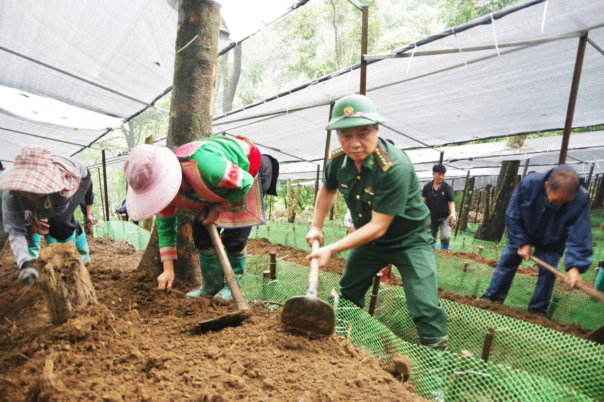lực lượng 2